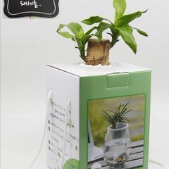 アキュポット(AQUPOT) S　水槽+植木鉢　加湿と空気清浄効果!!の画像