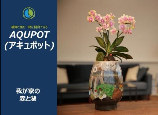 アキュポット(AQUPOT) S　水槽+植木鉢　加湿と空気清浄効果!!
