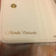 イヴルルド遙華先生監修のドット柄が超キュートな開運ミニ財布の画像