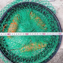 浮き付き スカリ つり　魚入れ　大型で丈夫！の画像