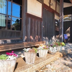 初春ヨガのご案内の画像