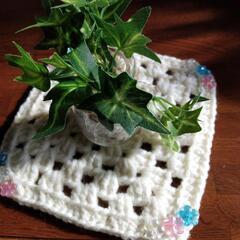 ハンドメイド   ミニドイリー