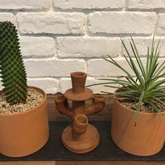 サボテン・キャンドルホルダー・多肉植物セット