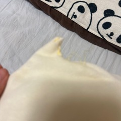人形の画像