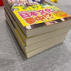 日本へようこそエルフさん。 1〜4巻の画像