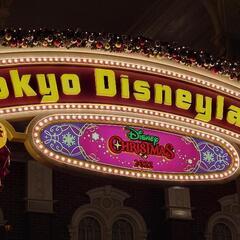 急募！1/10ディズニーインパ募集！