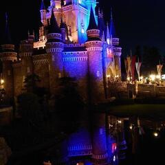 急募！1/10ディズニーインパ募集！ - 浦安市
