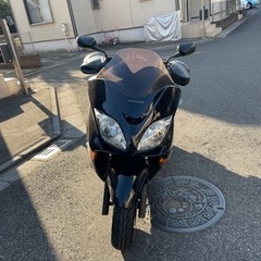 HONDA フォルツァ 250 中古