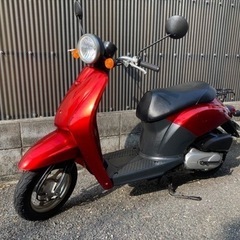 【バッテリー新品、タイヤ溝たっぷり】トゥデイ　エンジン良好♪