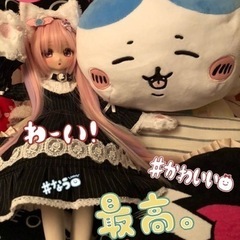 ドールオーナーさんと知り合いたい·͜· ♡