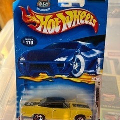 HOT  WHEELS  Roadrunner
