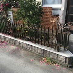 植木