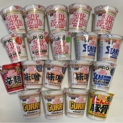 受付終了　カップヌードル数種類19個