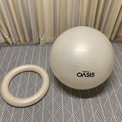 ☆2022年購入☆バランスボール65cmリング付【東急オアシス】