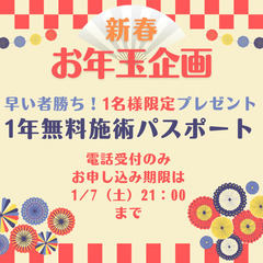 柔道整復師から学ぶ、たった１回で習得、明日からすぐ家族に使えるパ...