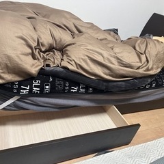 確定済み【一人暮らしオススメ】シングルベッド(マットレス・布団なし)