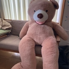くま ぬいぐるみ 大きい BIGの画像