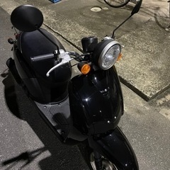 HONDA トゥデイ　原付バイクの画像