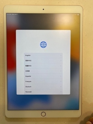 iPad Pro 10.5 256GB ローズゴールド セルラーモデル 訳あり