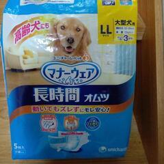 大型犬、オムツ