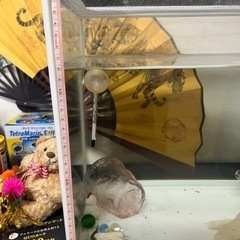 大型水槽セット(余っている金魚のエサとフィルター等付き) 