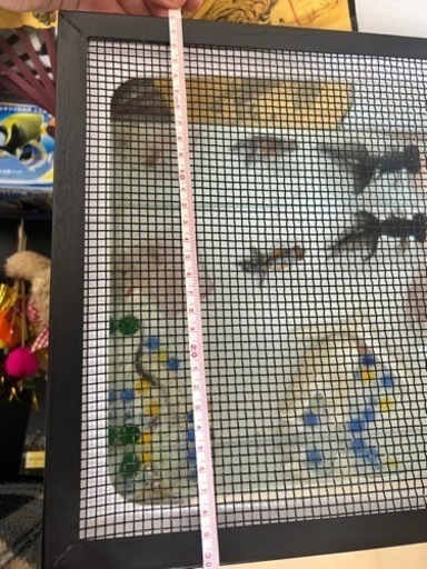 大型水槽セット(余っている金魚のエサとフィルター等付き) 