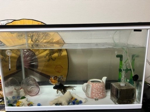 大型水槽セット(余っている金魚のエサとフィルター等付き)