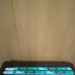 【お値下げして再出品】蛍光灯　ＦL20SSEX-N/18　2本　未使用