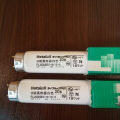 【お値下げして再出品】蛍光灯　ＦL20SSEX-N/18　2本　未使用の画像