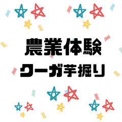 ∞第二弾‼️1/21(土)クーガ芋掘り体験in読谷村《モニター募集》∞