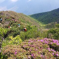 ☘️六甲全山・半縦走☘️