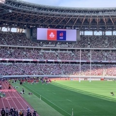 インスタやFBでラグビー繋がり　応援、観戦、情報交換 − 東京都