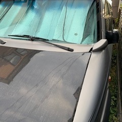 アストロ　カーボンボンネットの画像