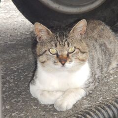 【急募】1/24（火）手伝ってください