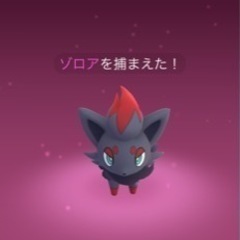 ポケモンカード友達募集！