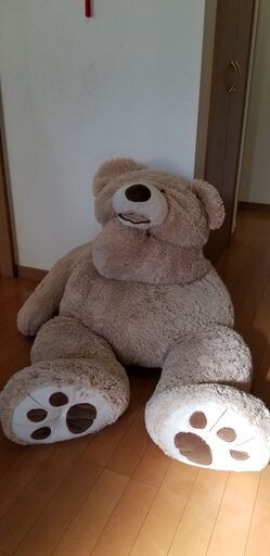 コストコ　巨大くまさんぬいぐるみ