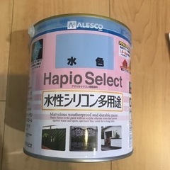 ペンキ（水色）などオマケ付き