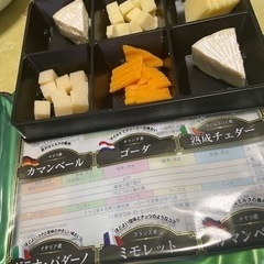 チーズ🧀好きな方教えてください！　