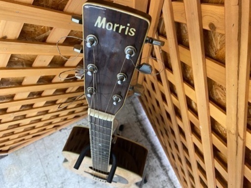【愛品館 江戸川店】Morris（モーリス）W-30 アコースティックギター ID:125-010866-007