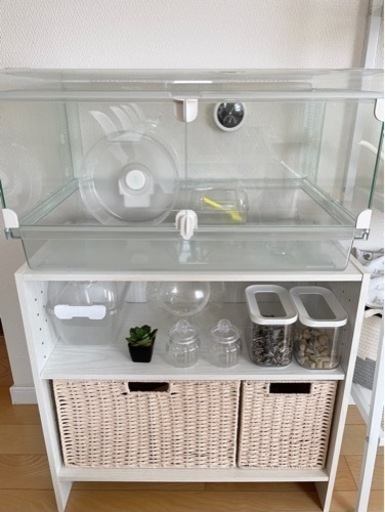 グラスハーモニー 600 ハムスター