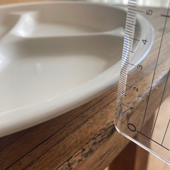 仕切り付きプレート　樹脂製の画像