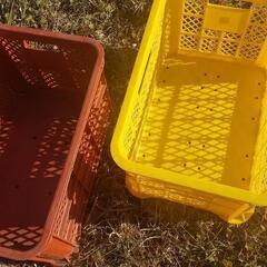 野菜収穫コンテナ　400円の画像