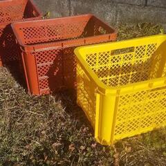 野菜収穫コンテナ　400円の画像