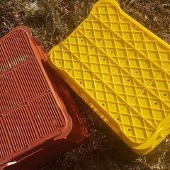 野菜収穫コンテナ　400円の画像