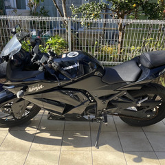 NINJA 250【今週中引渡し6万引きます】急ぎ