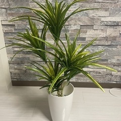 ドラセナコンシンネ 人工観葉植物 フェイクグリーン