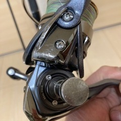 エメラルダスインフィート83Mとルビアスのセットの画像