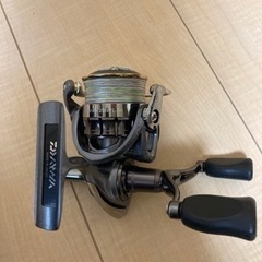 エメラルダスインフィート83Mとルビアスのセットの画像
