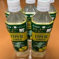 取引中　伊藤園日向夏 500g 5本