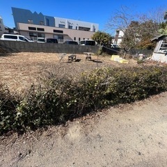 🌱来月末より開催します🌱早めにご予約を‼️